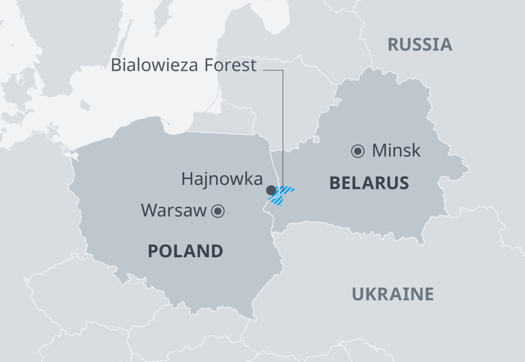 The border between Poland and Belarus | Photo: DW