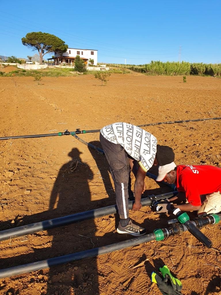 Laying the irrigation pipes on the land where Albert and his team will start growing a mixture of vegetables | Photo: Private