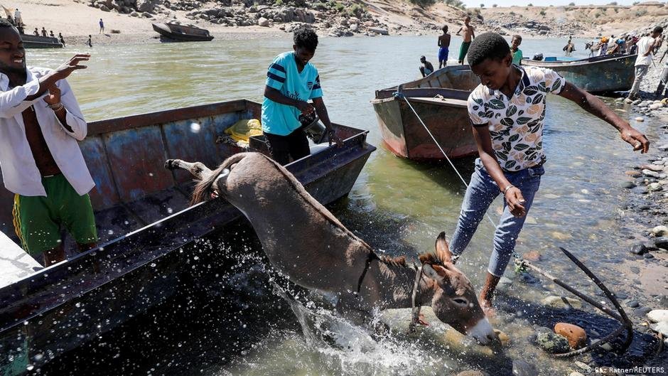 A donkey jumps off a boat after crossing a river from Ethiopia to Sudan | Photo: Baz Ratner/REUTERS