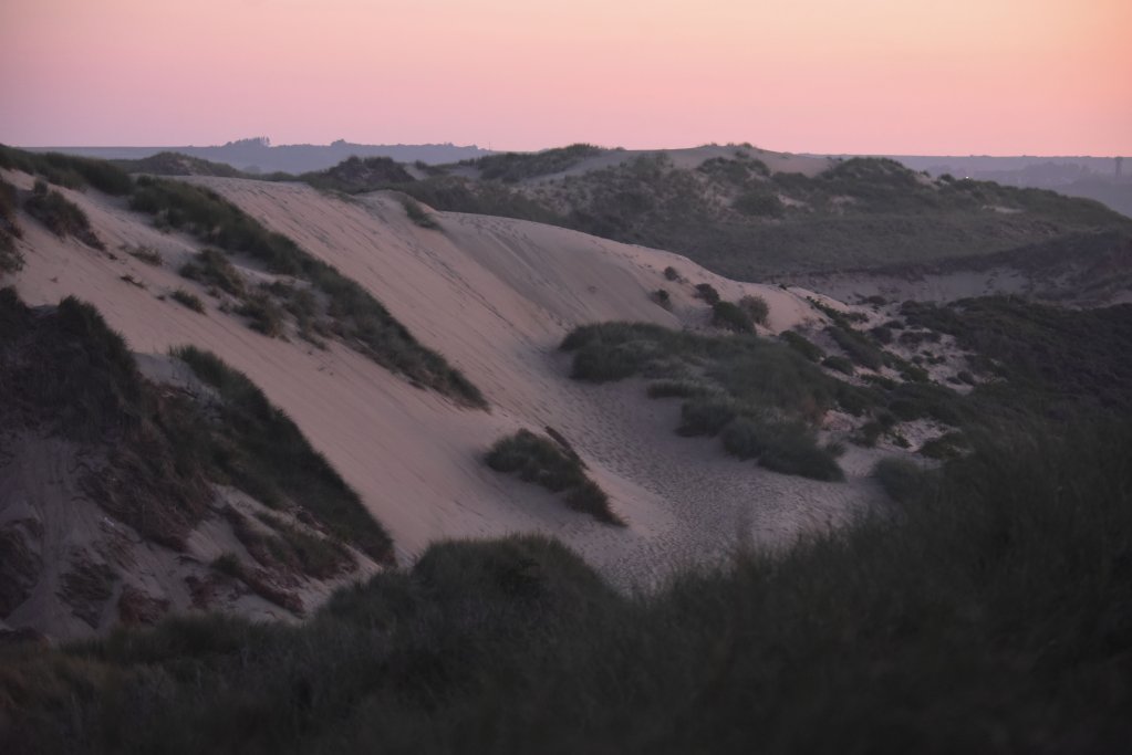 Les dunes de la Slack, à l'aube, le 8 septembre 2021. Crédit : Mehdi Chebil pour InfoMigrants