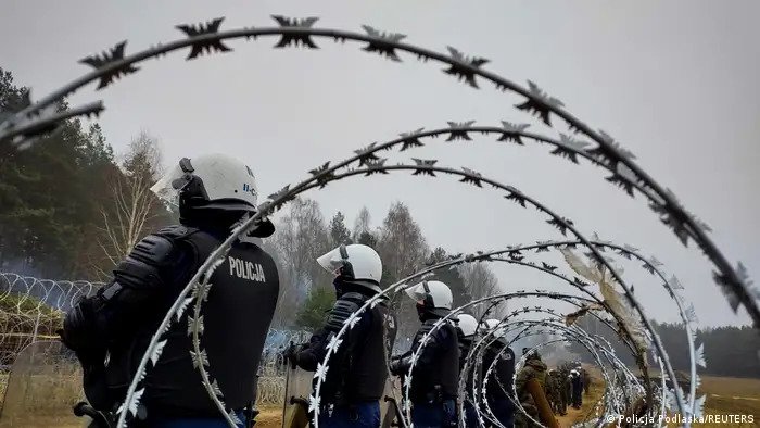 La Pologne tente de fortifier sa frontière avec la Biélorussie et d'empêcher les migrants de traverser la frontière en construisant une clôture en fil de fer barbelé