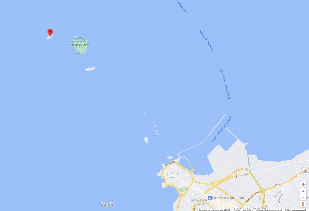 جزيرة الرامكين قبالة السواحل الشمالية للبنان. المصدر: خرائط غوغل