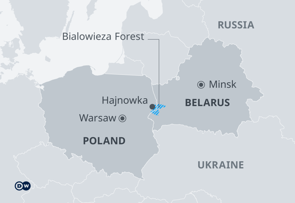 Map of the Bialowieza Forest in the Polish-Belarusian border region | Source: DW